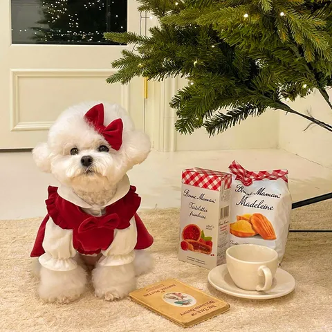 Cute Christmas Dog Princess Dress Winter Warm Puppy Clothes Festive Pet Apparel