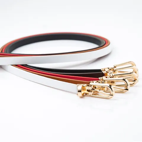 Ceinture Fine en Cuir PU Minimaliste pour Femme Ceinture Fine Polyvalente pour Robe avec Boucle Ardillon en Métal Doré Accessoire Élégant
