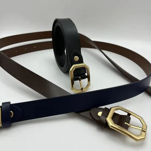 Ceinture Fine Décontractée en TPU pour Femme Mode Ceinture Polyvalente avec Boucle Géométrique en Alliage Doré pour Robe Quotidienne