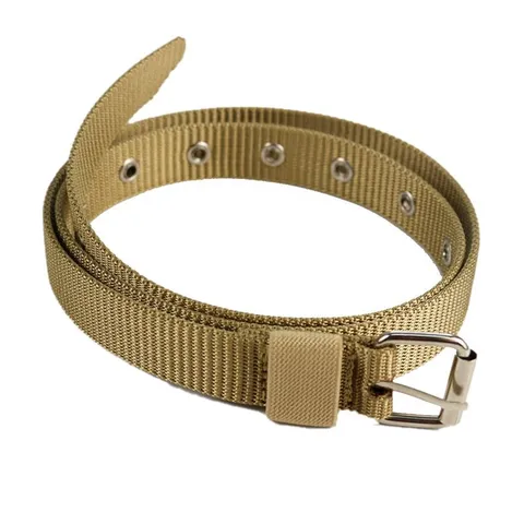 Ceinture En Toile Décontractée Pour Femmes Fine Bande De Taille Avec Œillets Métalliques Et Boucle Ardillon Argentée