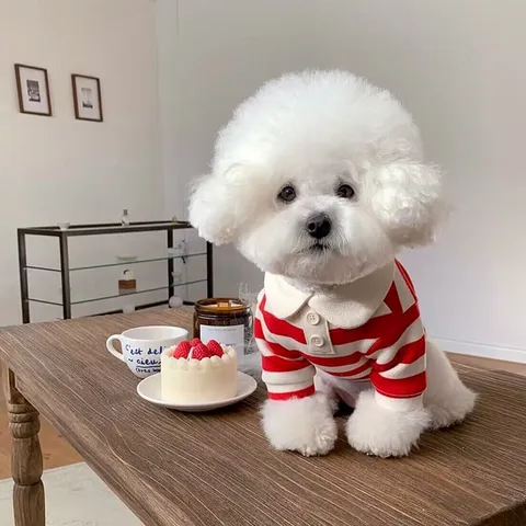 Maglietta da Cane Cucciolo Estiva a Righe Stile Marinaio con Colletto Polo Abbigliamento in Maglia Traspirante per Cani Piccoli e Gatti