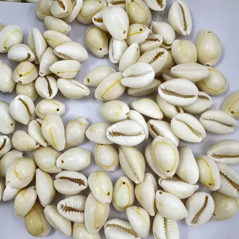 Geboorde Natuurlijke Cowrie Schelp Kralen Gouden Ring Zeeschelpen Voor DIY Sieraden Maken Ambachten Kleding Decoratieve Accessoires 500g