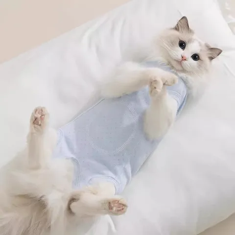 Atmungsaktiver Baumwoll Haustier Kastrationsanzug Für Katzen Und Hunde Süße Wolken Bestickung Nach OP Kleidung Frühlings Sommer Haustierbekleidung
