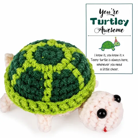 Handgemachte Gehäkelte Positive Schildkröte Plüschtier Stofftier mit Ermutigungskarte Emotionaler Support Geschenk