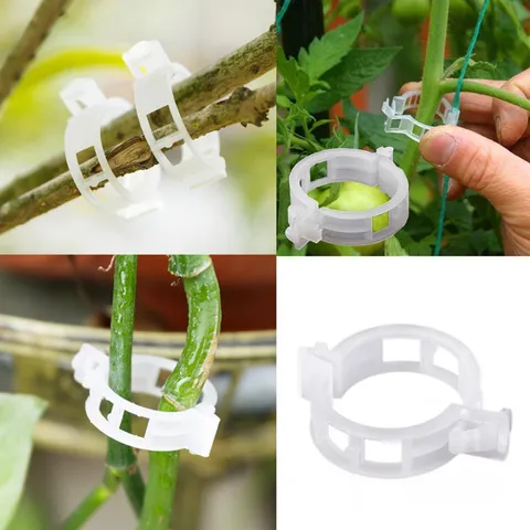 Plastic Plant Clips Garden Vine Support Clips Transparent White Ring Buckle Fastener For Vegetables And Tomato Support
