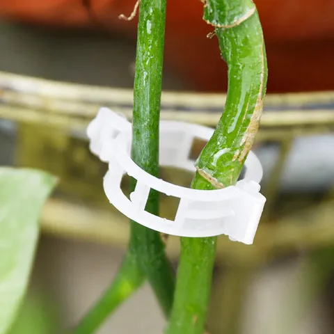 Plastic Plant Clips Vine Fixing Buckles Support Clips For Garden Vegetables Tomatoes Flowers Plant Supporting Tools
