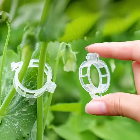 Plastic Plant Support Clips Vine Climbing Fixing Buckle For Garden Vegetables Tomatoes Flowers Outdoor Practical Accessories