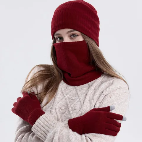 Winter Hat Scarf Gloves Set Fleece Lined Knit Beanie Touchscreen Gloves Neck Warmer For Men Women Outdoor Cold Weather Accessory
