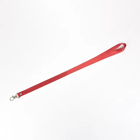 Polyester ID Badge Lanyard With Metal Hook Neck Strap For Office Exhibition Student Durable Solid Color Hanging Rope