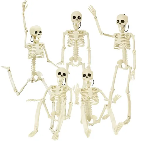 Halloween Simulazione Scheletro Modello Articolazioni Mobili Plastica Scheletro Figura Appesa Puntello Zucca Testa Fantasma Casa Stregata Arredamento