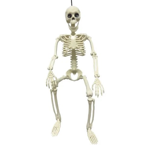 Halloween Simulazione Scheletro Modello Articolazioni Mobili Plastica Scheletro Figura Appesa Puntello Zucca Testa Fantasma Casa Stregata Arredamento