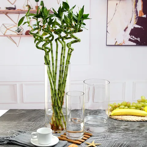Transparent Glass Flower Vase Nordic Cylinder Straight Tube Clear Vases For Living Room Home Table Decor Plant Hydroponic