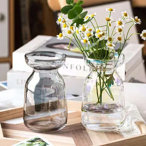 Nordic Minimalist Transparent Glass Flower Vase Electroplated Modern Decorative Flower Pot For Home Living Room Tabletop Decor
