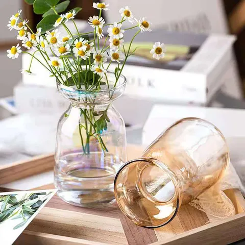 Nordic Minimalist Transparent Glass Flower Vase Electroplated Modern Decorative Flower Pot For Home Living Room Tabletop Decor