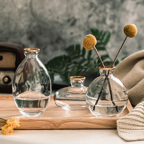 Set di Mini Vasi in Vetro Trasparente Minimalista Tre Pezzi Scrivania Soggiorno Decorazione Floreale Profilo Oro
