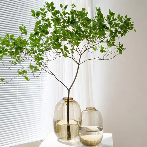 Minimalistisch Heldere Glazen Vaas Transparante Grote Buik Hydrocultuur Bloempot Woonkamer Huisdecoratie Ornament