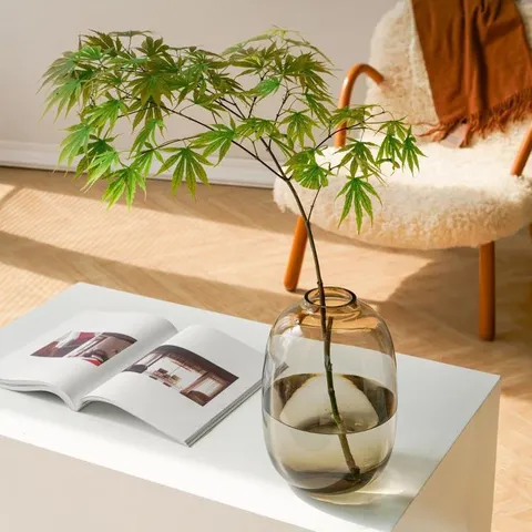 Minimalistisch Heldere Glazen Vaas Transparante Grote Buik Hydrocultuur Bloempot Woonkamer Huisdecoratie Ornament
