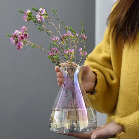 Minimalist Glass Vase Electroplated Aurora Amber Hydroponic Flower Arrangement Small Large Home Decor Tabletop Ornament