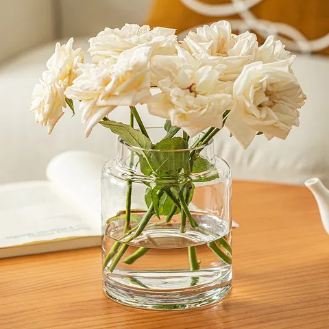 Großkalibrige Glasvase Transparent Rauchgrau Blumentopf Modern Nordisch Wohnzimmer Hydrokultur Blumenarrangement Dekoration
