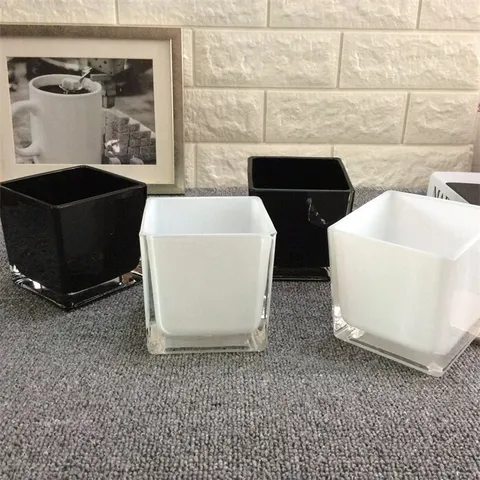 Modern Minimalistisches Galvanisiertes Glas Quadratische Vase Schwarz Und Weiß Transparent Hydrokultur Pflanzgefäß Desktop Floral Dekor