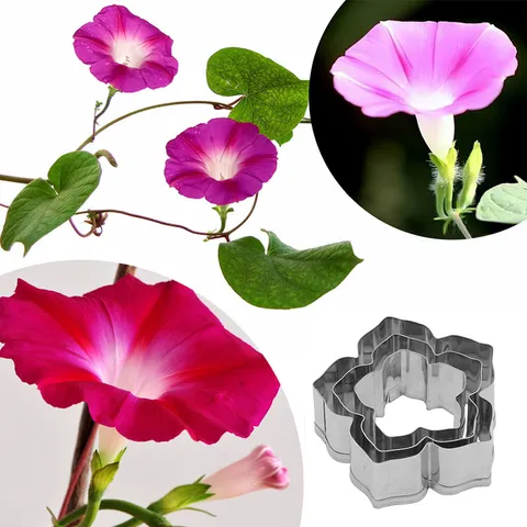 Set di Tagliabiscotti in Fondant con Fiori di Petunia in Acciaio Inossidabile Strumento da Cucina per Cottura