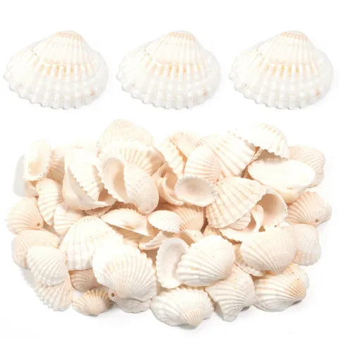 Natural White Scallop Shell Beads For Jewelry Making DIY Craft Kids Creative Painting Wind Chime Accessories Handmade Shell Charms