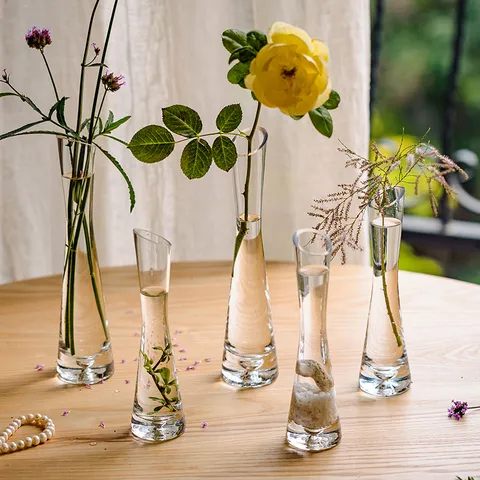 Vaso per Boccioli in Vetro Trasparente Moderno Piccolo Calibro Pianta Idroponica Composizione Floreale Vaso Decorativo Miniatura
