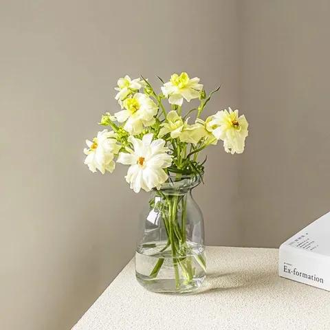 Minimalist Transparent Glass Mini Vase Nordic Style Creative Hydroponic Flower Arranging Bottle Living Room Tabletop Home Decor
