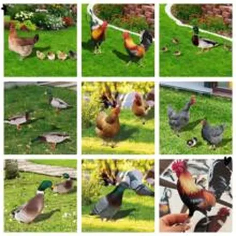 Piquet de Jardin en Acrylique Coq Poule Canard Décoration de Pelouse Extérieure Panneau d'Animal Étanche Ornement de Paysage