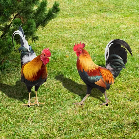 Piquet de Jardin en Acrylique Coq Poule Canard Décoration de Pelouse Extérieure Panneau d'Animal Étanche Ornement de Paysage