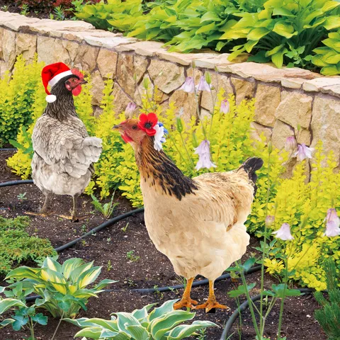 Acrylic Chicken Garden Stake Outdoor Yard Art Double Sided Printed Decorative Lawn Ornament For Patio Backyard