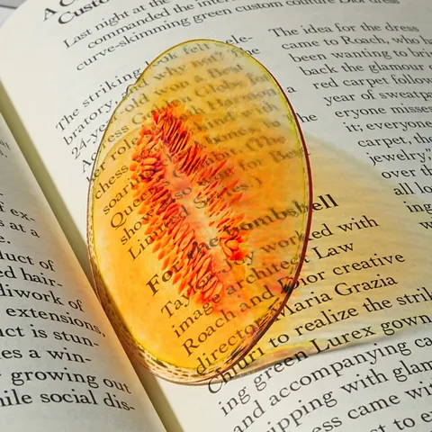 Transparent Acrylic Fruit Melon Slice Bookmark Cute Student Reading Page Marker Book Accessory