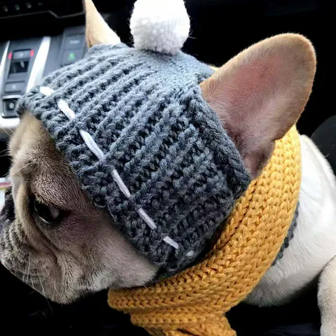 Cute Knitted Pet Hat Warm Winter Dog Hat With Pom Pom Puppy Accessories For Small Dogs Cats Daily Wear