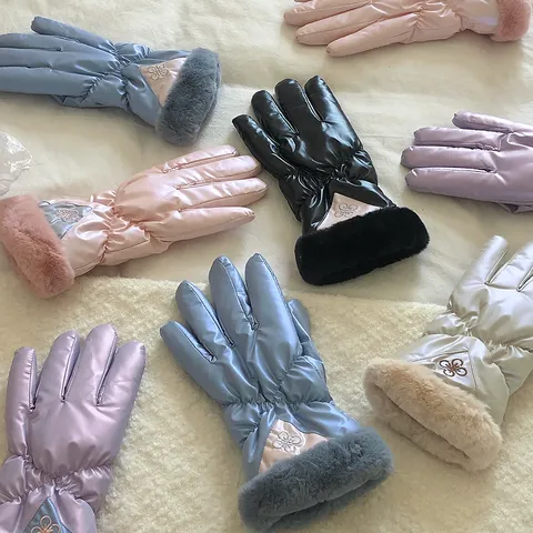 Women Winter Touchscreen Cycling Gloves Warm Full Finger Windproof Embroidered Outdoor Driving Mittens With Plush Cuffs