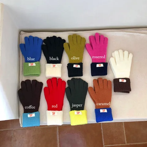 Women Winter Warm Gloves Touchscreen Color Block Thick Knit Full Finger Gloves Nylon Ribbed Cuff Soft Plush Warm Gloves For Outdoor Daily