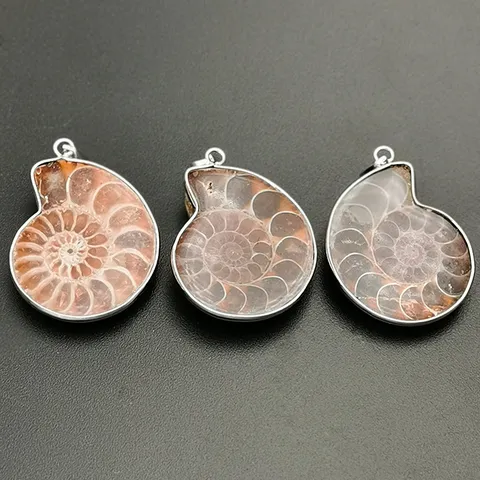 Pendentif Seul en Fossile d'Ammonite Naturel Charme de Pierre Précieuse de Coquille Spirale Rétro pour la Fabrication de Bijoux Bricolage Cadeau Unisexe Vintage