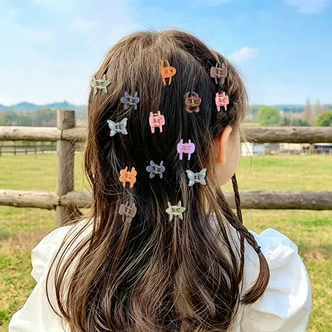 Pinces à Cheveux Mini En Plastique Avec Nœud Papillon Et Cœur Boîte De Rangement Animaux De Dessin Animé Multicolore Pour Accessoires De Coiffure Fille