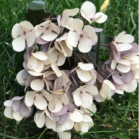 Artificial Hydrangea Flower Silk Hydrangea Bouquet European Style Fake Flowers For Wedding Home Decor Party