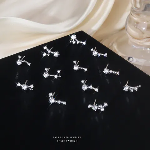 925 Sterling Zilveren Twaalf Sterrenbeelden Oorknopjes Voor Vrouwen Zirconia Constellatie Asymmetrische Mode Sieraden