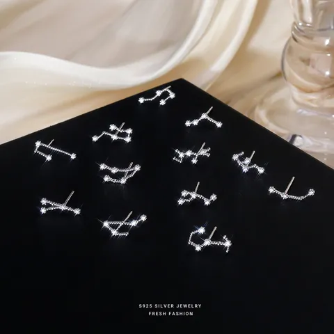 925 Sterling Zilver Twaalf Sterrenbeelden Oorknopjes Voor Vrouwen Kleine Zirconia Sterrenhemel Oorknopjes Ins-Stijl Gepersonaliseerde Astrologische Sieraden