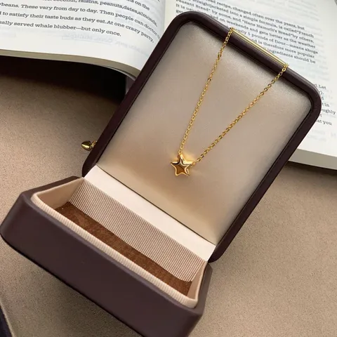 Collar con Colgante de Estrella 3D Minimalista Chapado en Oro de 24K para Mujer Collar Elegante Simple de Estrella de la Suerte Joyería