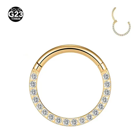 Anneau à Segment Articulé en Titane G23 Incrusté de Zirconia Anneau de Nez Septum Cartilage Clicker Bijoux de Piercing