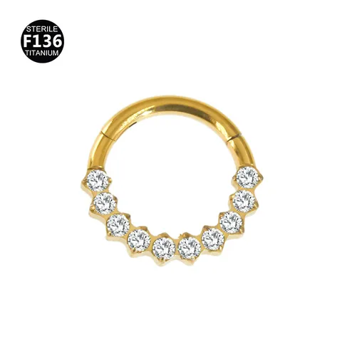 F136 Titanium Nose Ring Tragus Stud Piercing Jewelry Crown Wings Zirconia Hinged Segment Ring Body Piercing Accessories