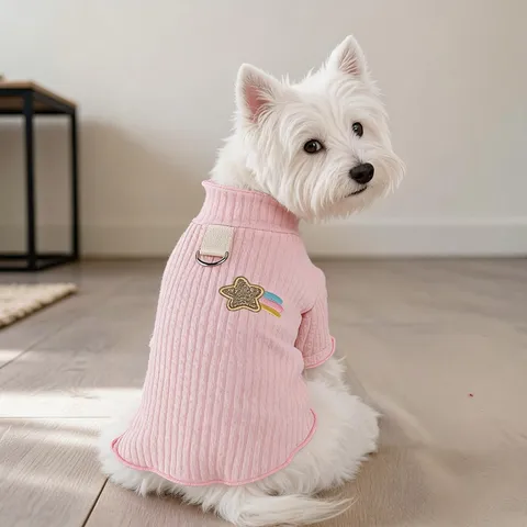 Abbigliamento per Animali Cane Piccola Taglia Cucciolo Maglia Con Anello a D Integrato Arcobaleno Meteora Stella Ricamata Autunno Inverno