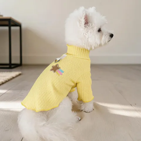 Abbigliamento per Animali Cane Piccola Taglia Cucciolo Maglia Con Anello a D Integrato Arcobaleno Meteora Stella Ricamata Autunno Inverno