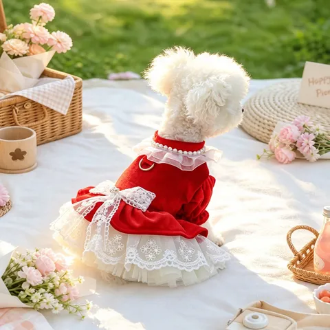 Vestido de Princesa para Mascotas de Terciopelo Rojo Encaje Lazo Perla Otoño Invierno Cálido Ropa Perros Pequeños Vestido de Boda