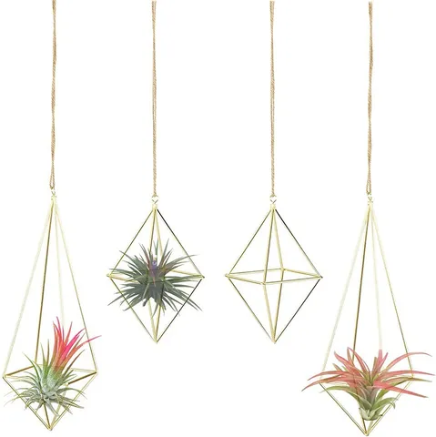 Geometrischer Luftpflanzenhalter Metall Hängender Blumentopf Eisen Kunst Tillandsia Rack Für Haus Garten Wand Deko Gold Schwarz Blumentopf