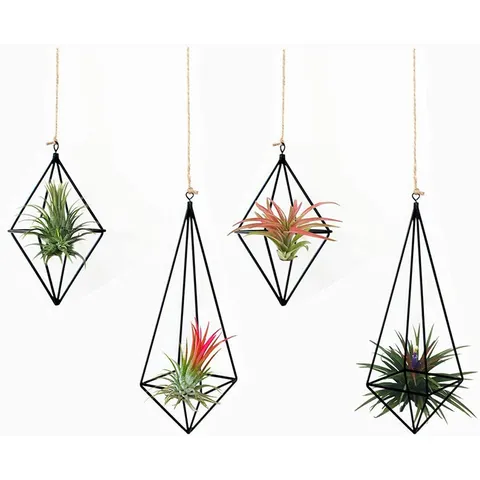 Geometrischer Luftpflanzenhalter Metall Hängender Blumentopf Eisen Kunst Tillandsia Rack Für Haus Garten Wand Deko Gold Schwarz Blumentopf