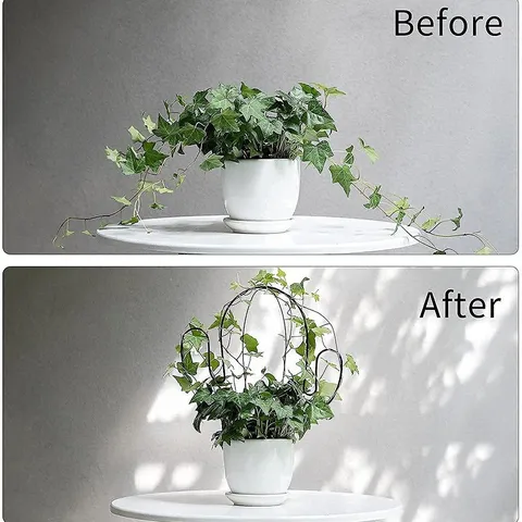 Iron Cactus Plant Trellis Black Metal Climbing Frame Garden Flower Support Stake For Outdoor Indoor Potted Plants