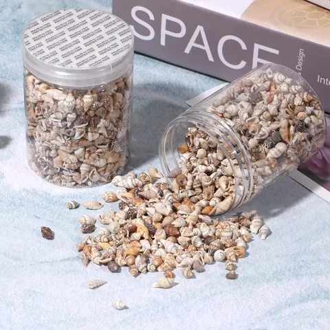 Pequeñas Caracolas Conchas Naturales En Lata DIY Botella de Océano Paisajismo de Acuario Accesorios de Manualidades Decoración